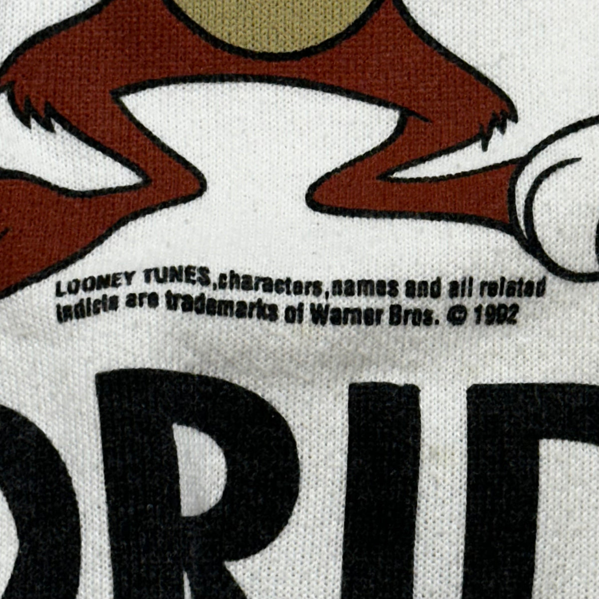 Vintage 1992 LOONEY TUNES Crewneck Florida sweatshirt