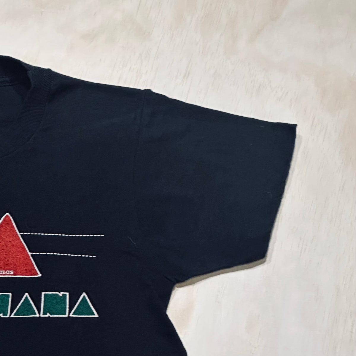 Vintage 80s Womens VOX HUMANA chamber choir shirt