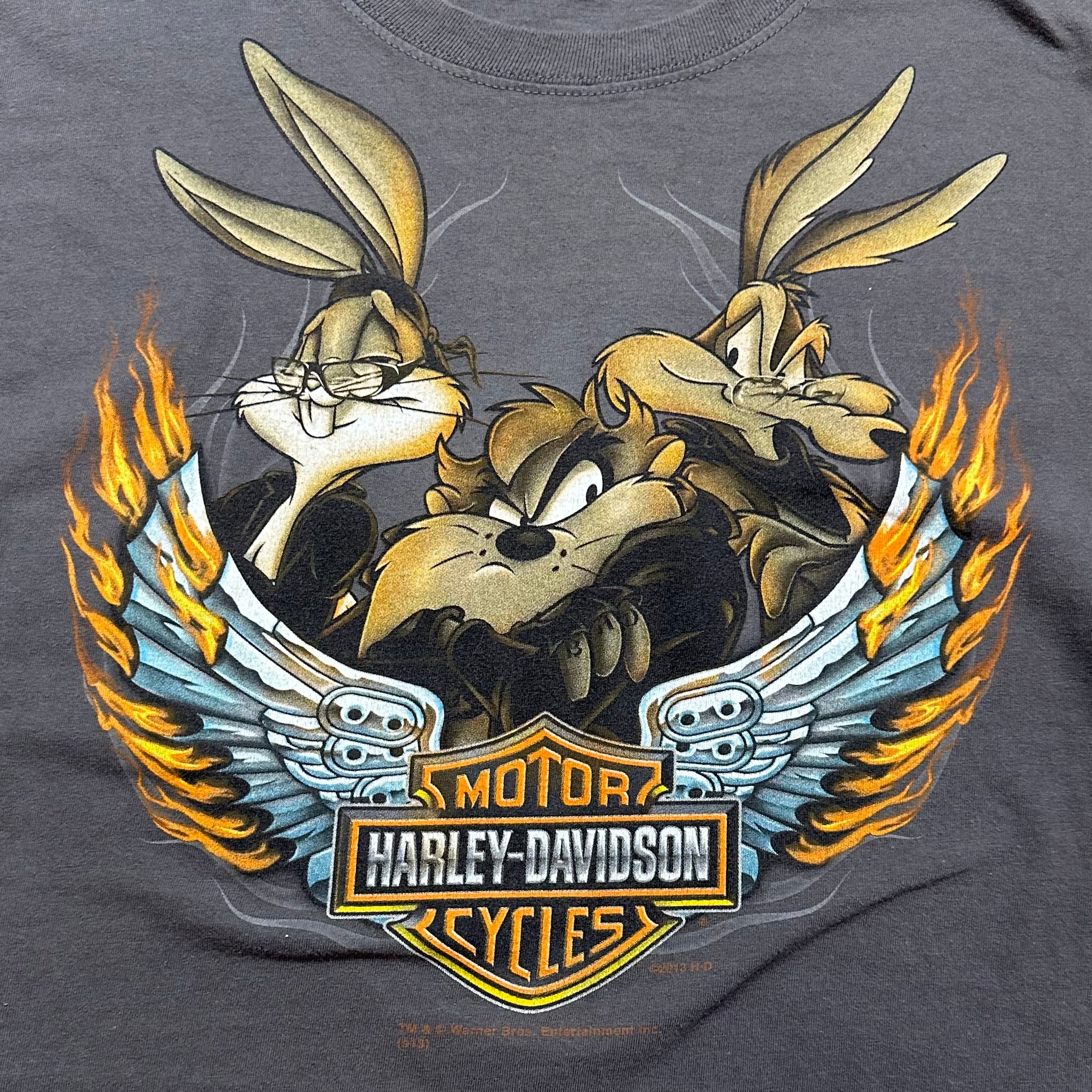 Vintage Looney Tunes Bugs Taz Wile Harley Davidson HD T-Shirt