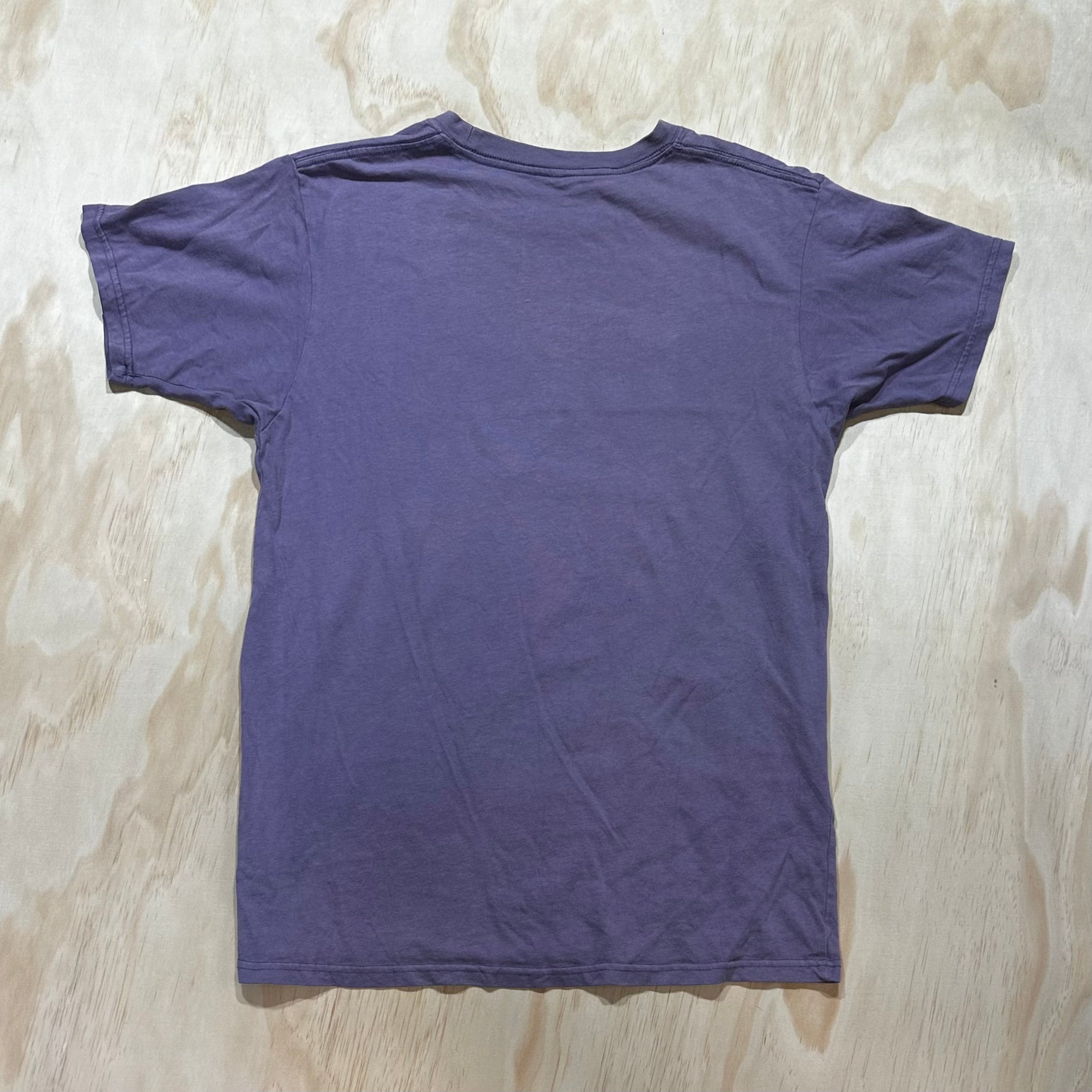 Vintage 90s Taz Wild Thing Tee 1995 Warner Bros Purple tshirt