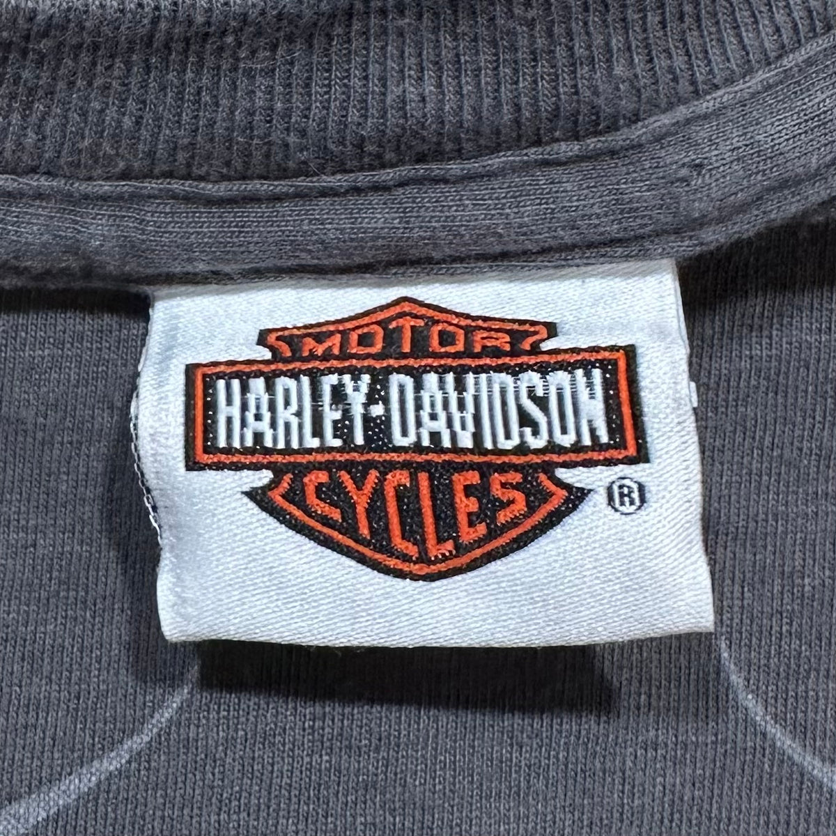 Vintage Looney Tunes Bugs Taz Wile Harley Davidson HD T-Shirt