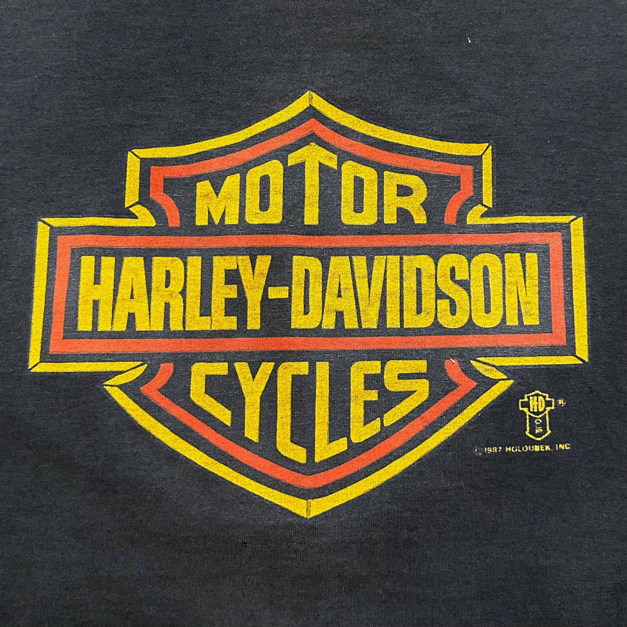 VTG RARE 1981 Harley Davidson Dallas, Texas T-Shirt - Holoubek 2024 - Large - Vintage