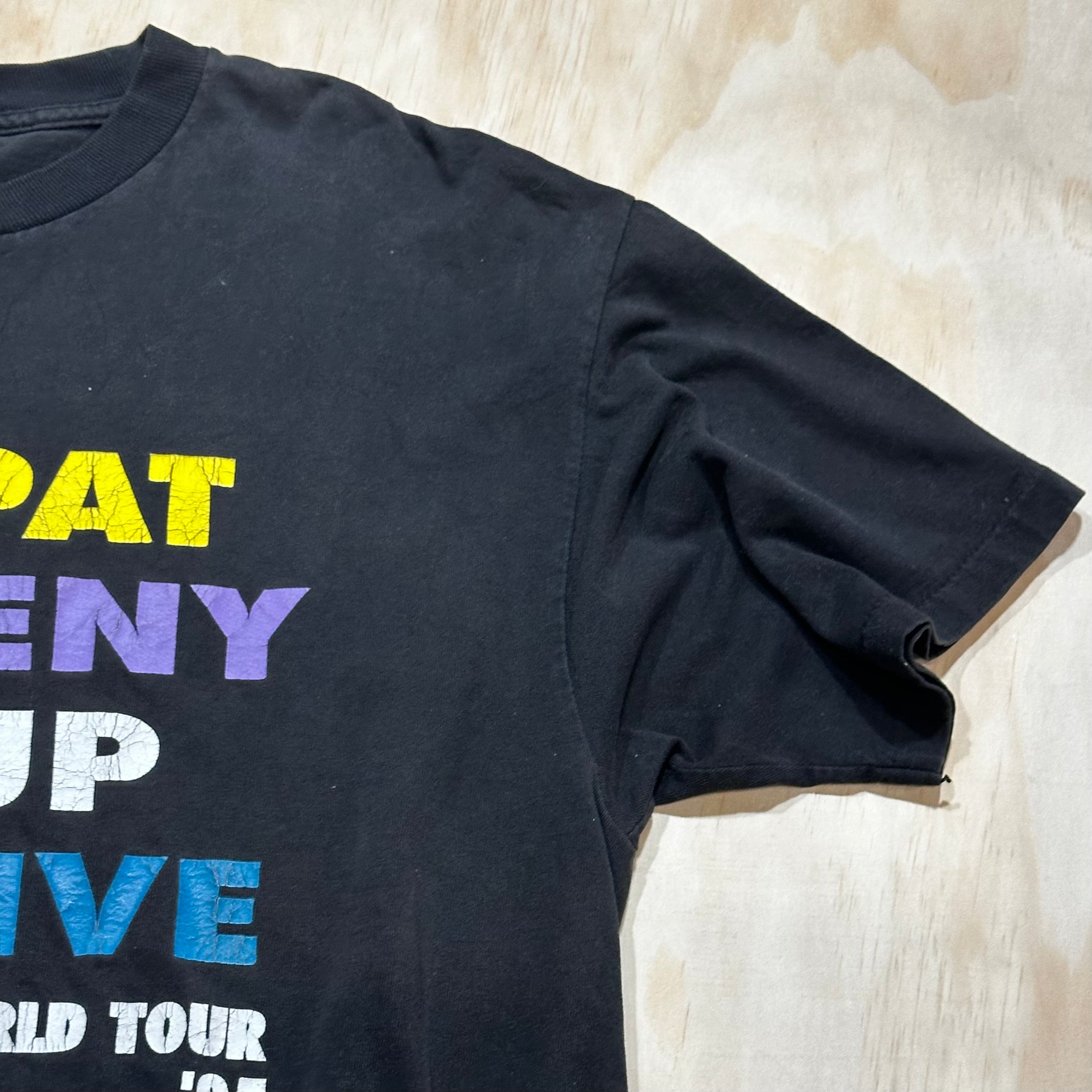 Vintage 1990s Pat Metheny Group • We live here world tour 95