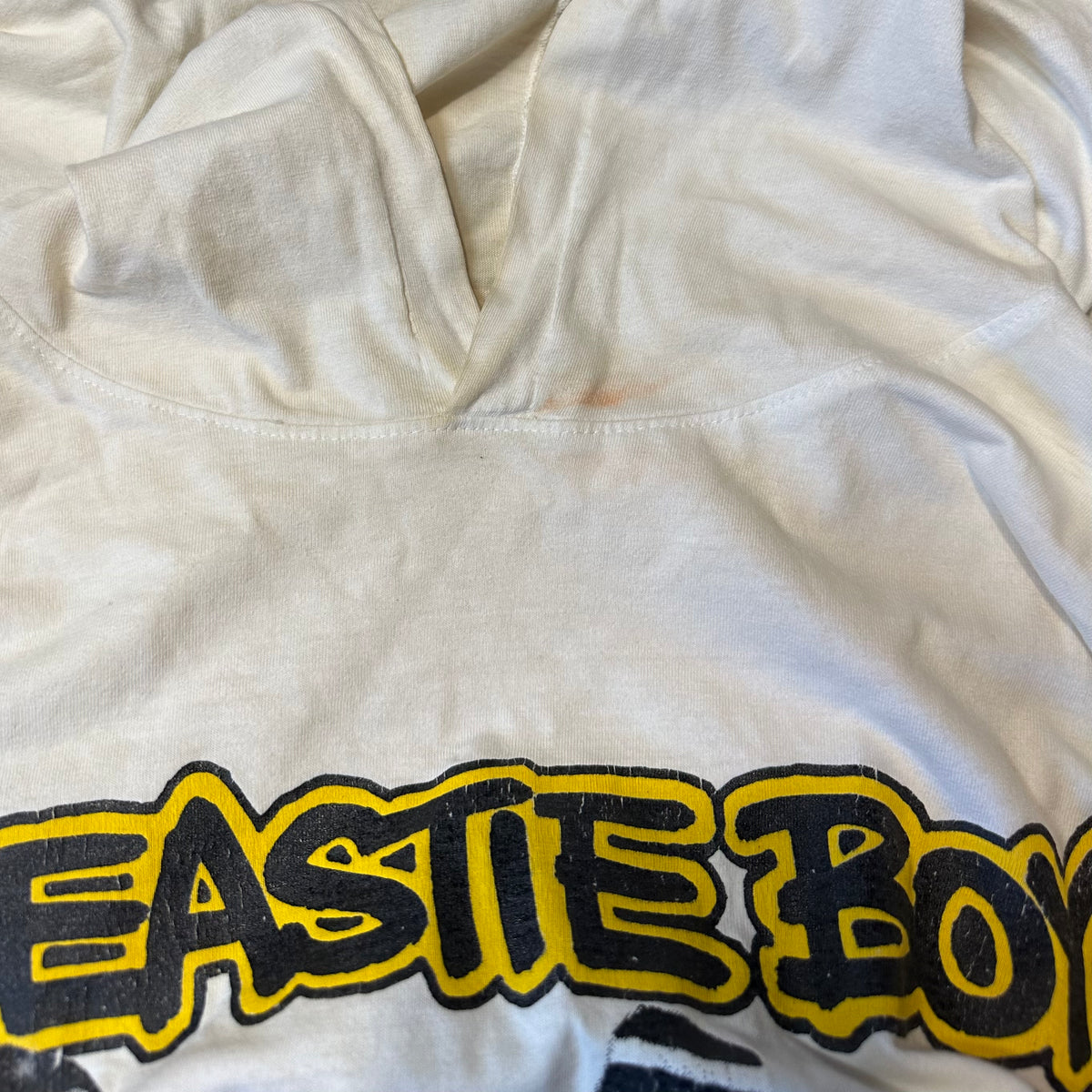 RARE 1993 Beastie Boys Check Your Head Long Sleeve Shirt